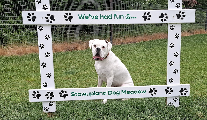 Stowupland Dog Meadow, Stowupland in Ipswich