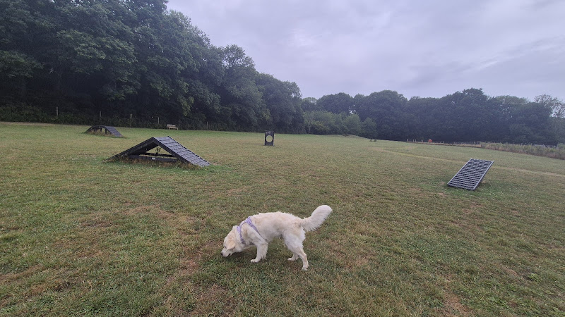 Sumners Ponds Dog Meadow & Dog Wood in Crawley