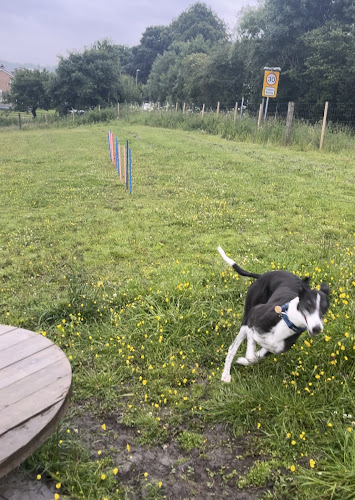 Take the Lead Dog Park, Batley in Leeds