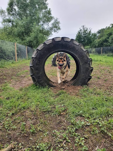 The Bark Park in Cherwell
