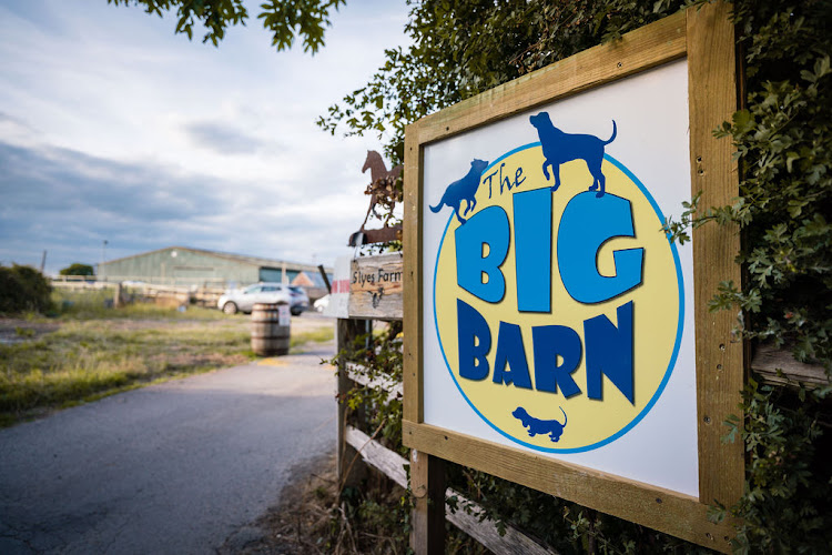The Big Barn - The Fun Field Secure Dog Field, Hailsham in East Sussex