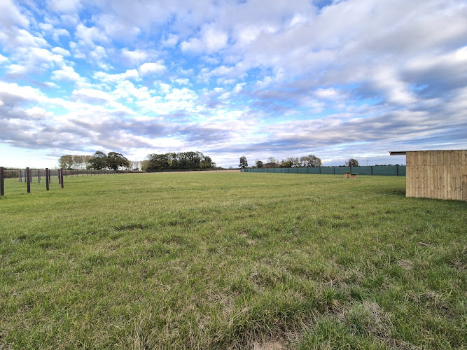 The Dog Field at Ewen, Ewen in Swindon