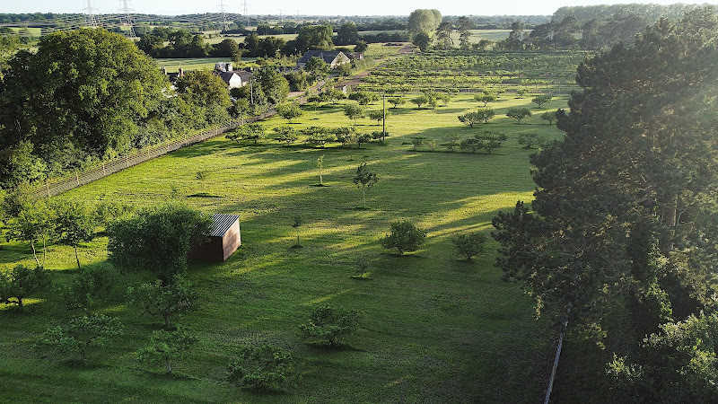 The Dog Orchard and The Cove Dog Fields, Woodbridge in Suffolk