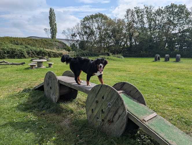 The Dog Paddock, Foston in Derbyshire