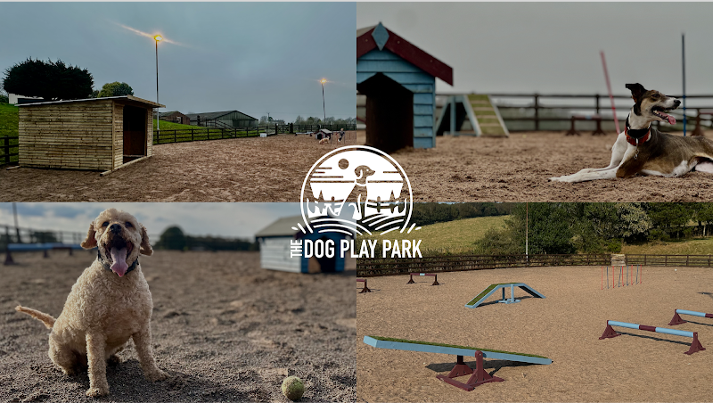 The Dog Play Park, Biddulph Park in Staffordshire