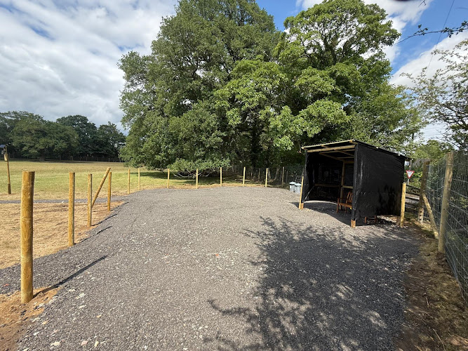 The Dog Walking Field, Bury St.Edmunds in Bury St Edmunds