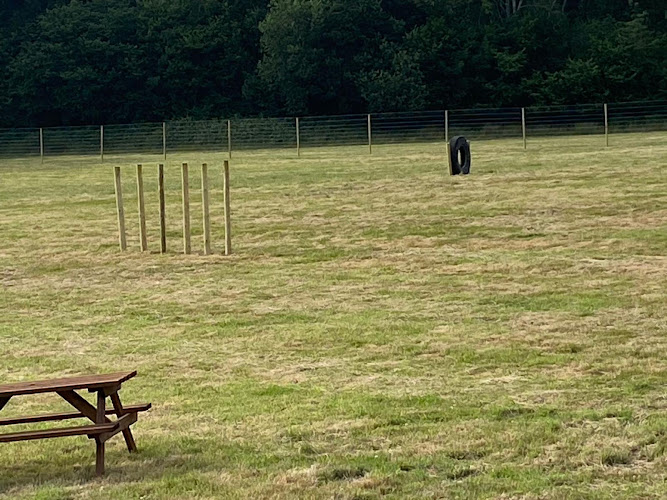 The Dog Walking Field, Crowborough in Uckfield