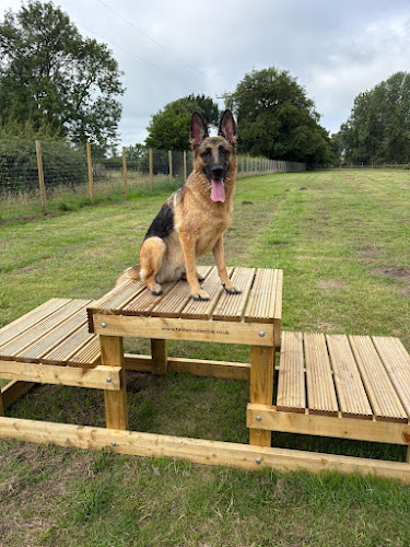 The Dogs Paddocks, Knutsford in Knutsford