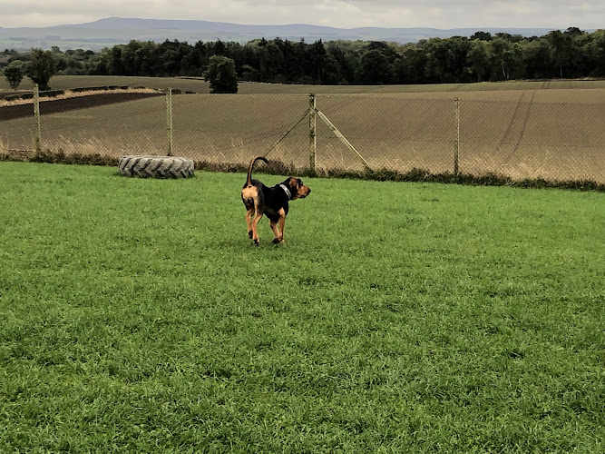 The Paw Park Dog Field, Ecclesmachan in Ecclesmachan