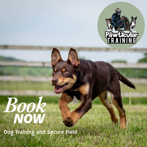 The Pawticularly Secure Exercise Dog Field, Worcester in Worcestershire