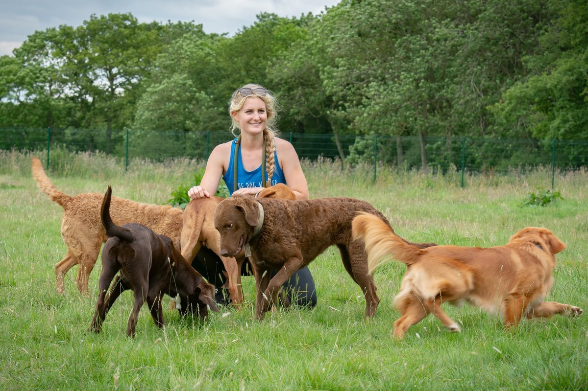 Greetham Dog Walking Field in Greetham