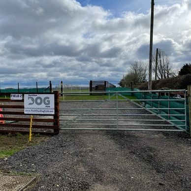 The Stilton Dog Fields, The Farm Field, Peterborough in Cambridgeshire