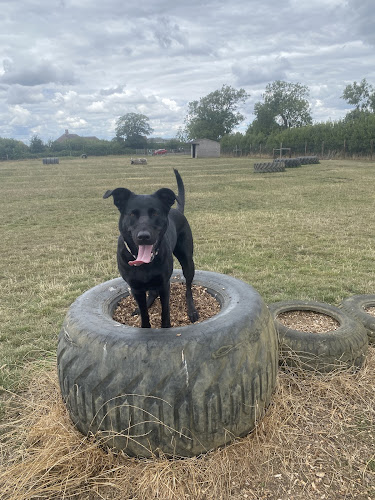 Thornborough Paws, Thornborough in Buckinghamshire