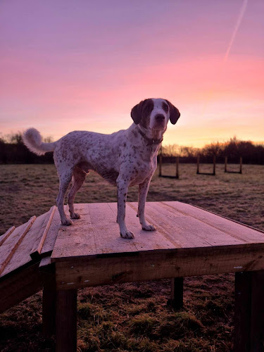 Thoulstone Dog Park in Trowbridge