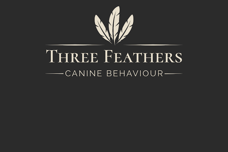 Three Feathers Canine Behaviour in West Midlands