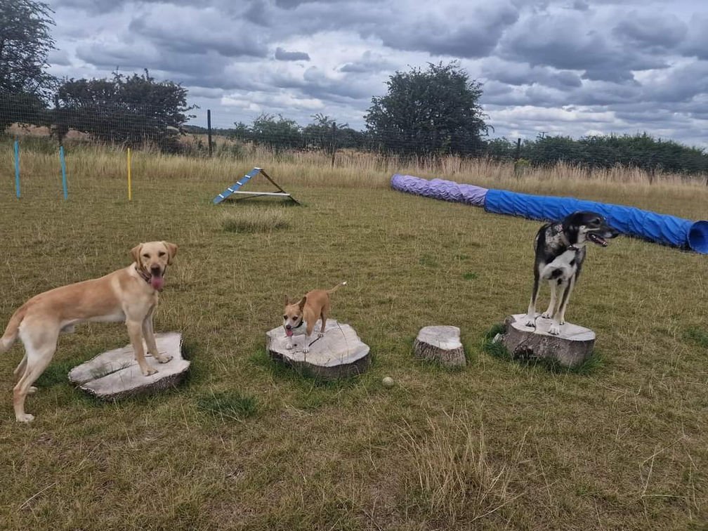 Tilly’s Off lead Play Park (Dog Field), Barkston in Grantham