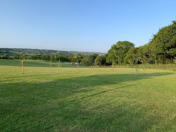 TJ’s Green Field (Dog Field), East Sussex in Westfield