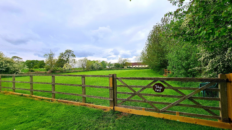 Tobys Field, Dog Field, Carlton in North Yorkshire