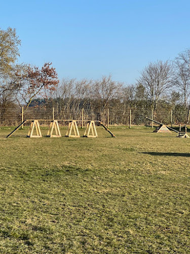 Top Dogz Field, Aughton in Liverpool
