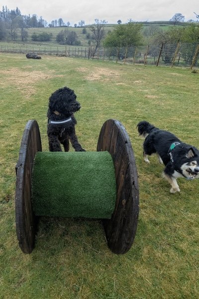 Happy Paws Park in Penrith