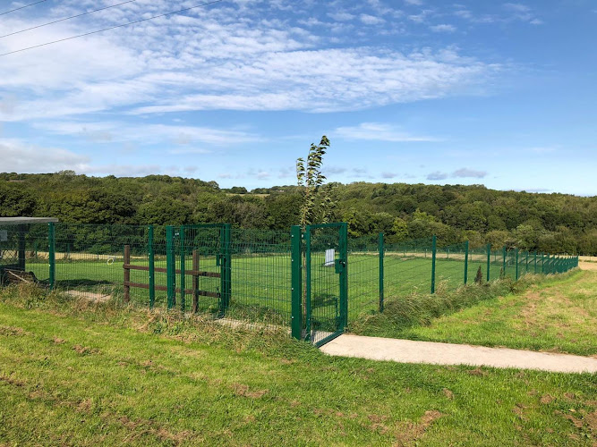 Un-Leashed Dog Field, Whitford in Flintshire