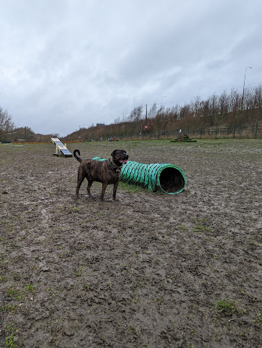 Unleashed Dog Park, Pontefract in Castleford