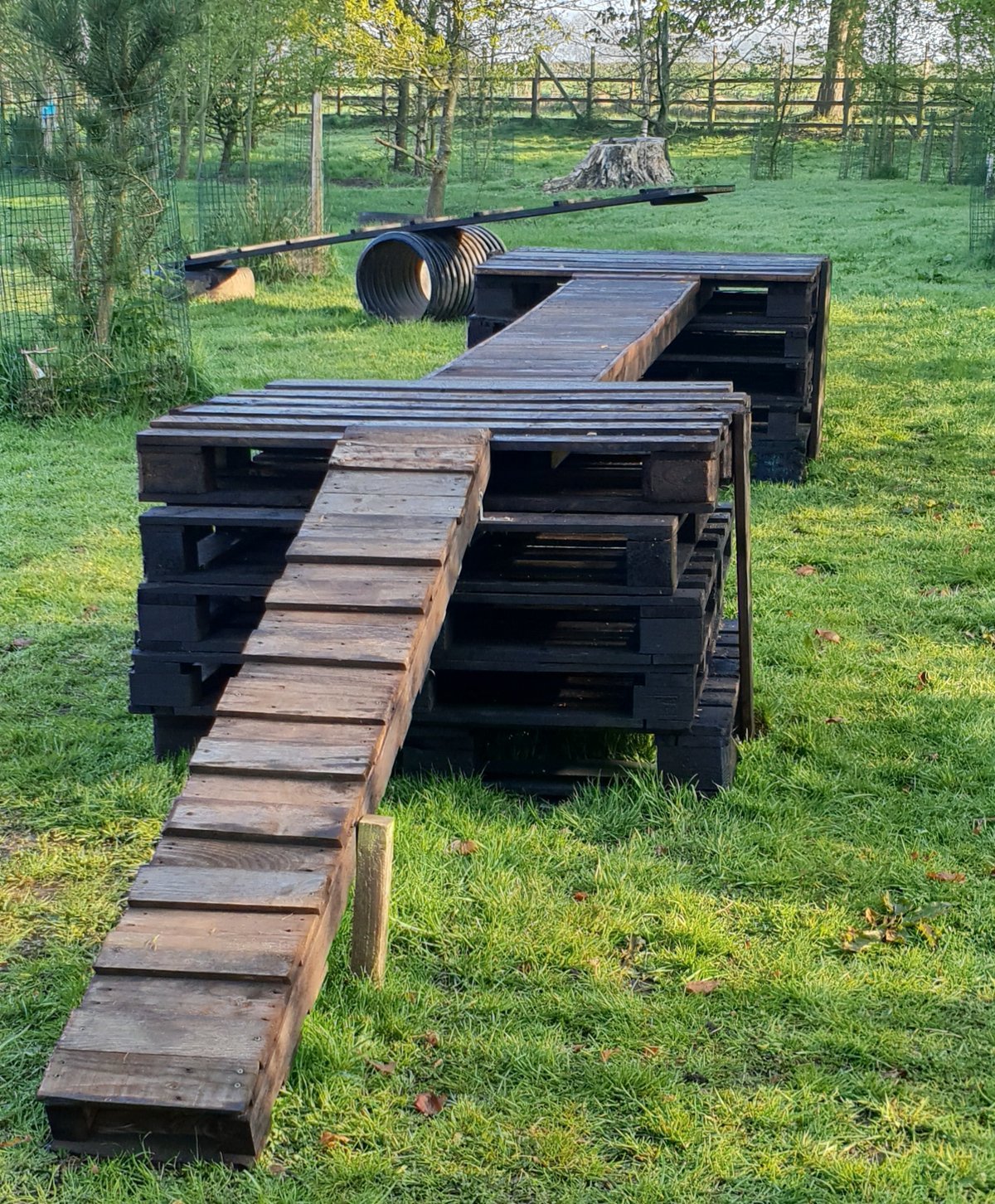 Unleashed Dog Adventure Dog Park, Nantwich in Cheshire East
