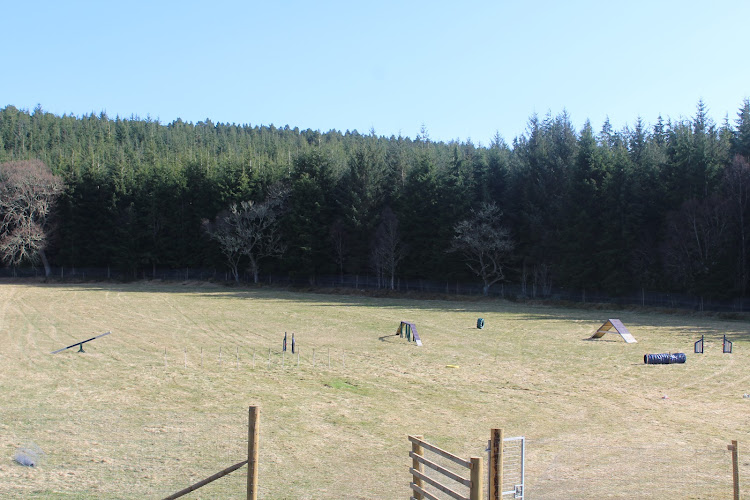 WaggTail Woods (Mac’s Meadow) Secure Dog Field, North Kessock in Highland