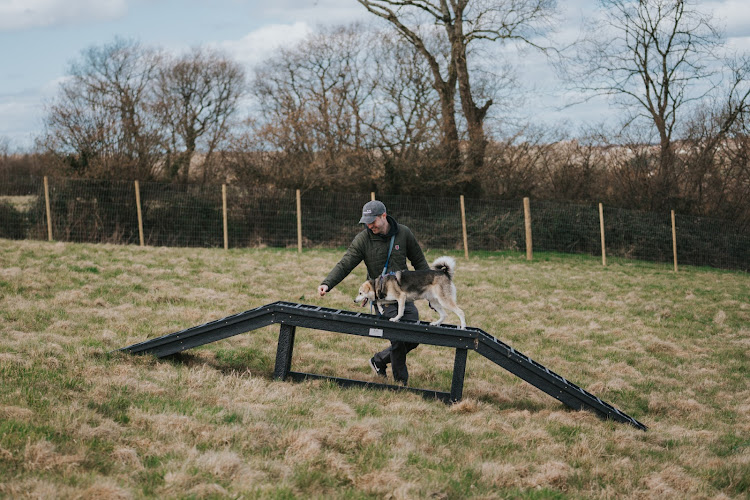 Waggy Tails Meadow - Dog field in Barnstaple in Barnstaple