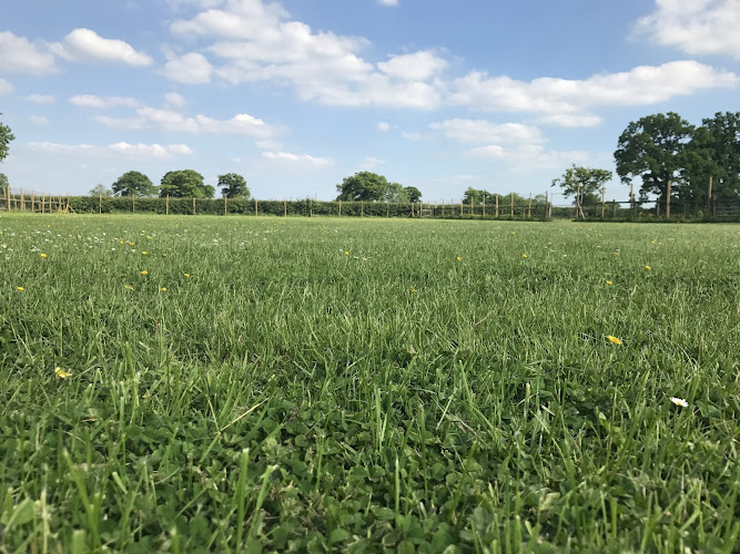 Wagtails Secure Dog Field, Swindon in Swindon