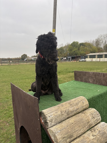 Westcote Ley Dog Field, Radway in Warwick
