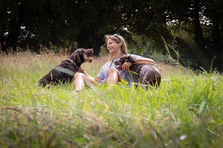 Westy and Worzel Dog Field, Sidmouth in Devon