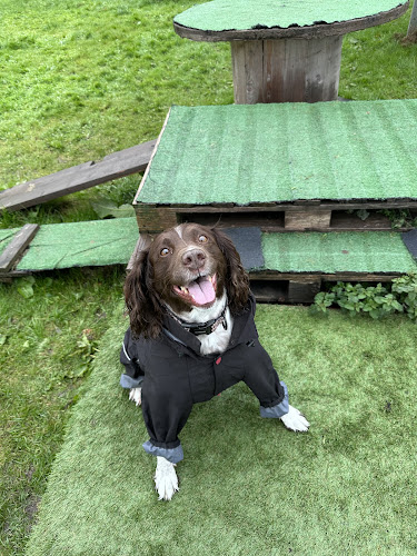 Wild Paws Dog Park, Alness in Invergordon