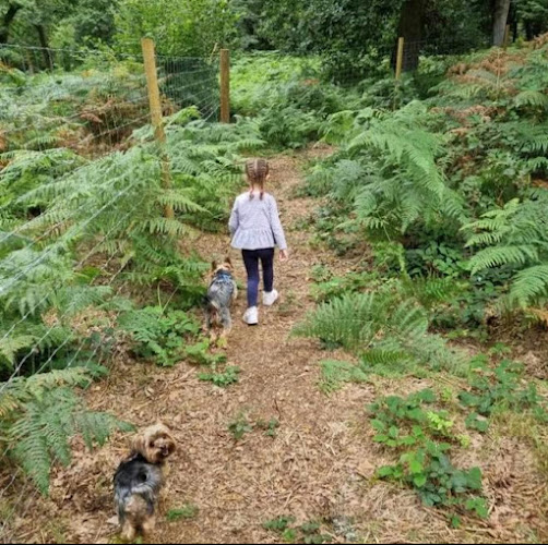 Woodland Walkies, Mildenhall in Swindon