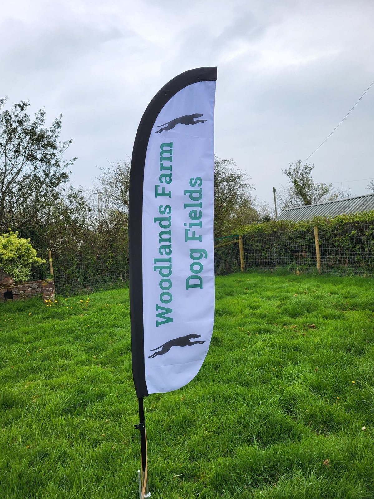 Woodlands Farm, Wiggly Woods Secure Dog Field, Holsworthy in Devon