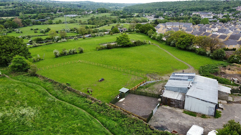 Woofing Around at Simpson Green Farm, Bradford in Bradford