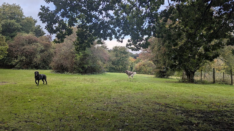 Yogi’s Field, Kent in Kent