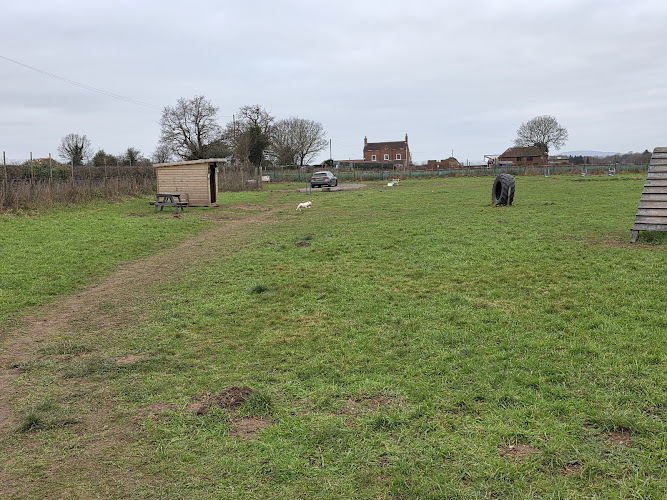 Zoomies Off Lead Dog Park, Albrighton in Shropshire